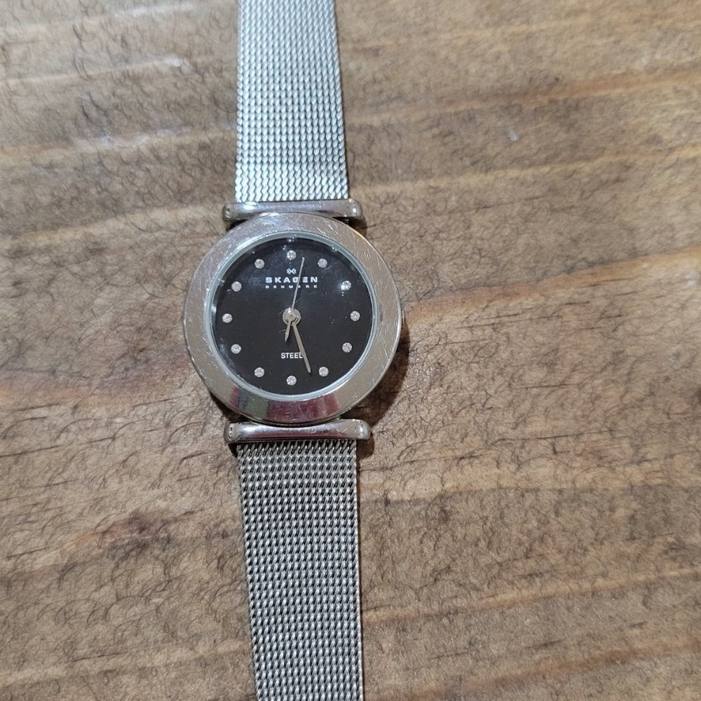 SKAGEN WOMEN'S 107 SSSBD STAINLESS STEEL MESH WATCH